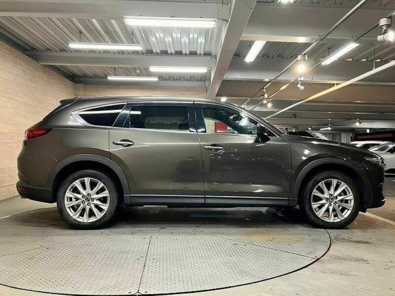 CX-8-17