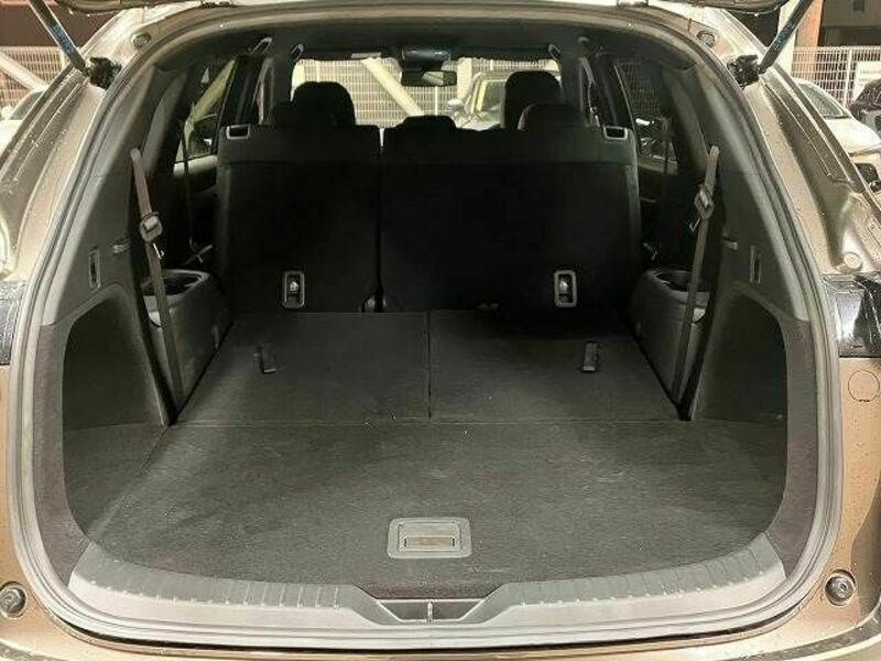 CX-8-19