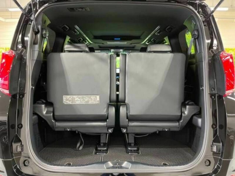 ALPHARD-11