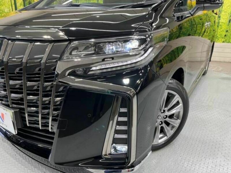 ALPHARD-13