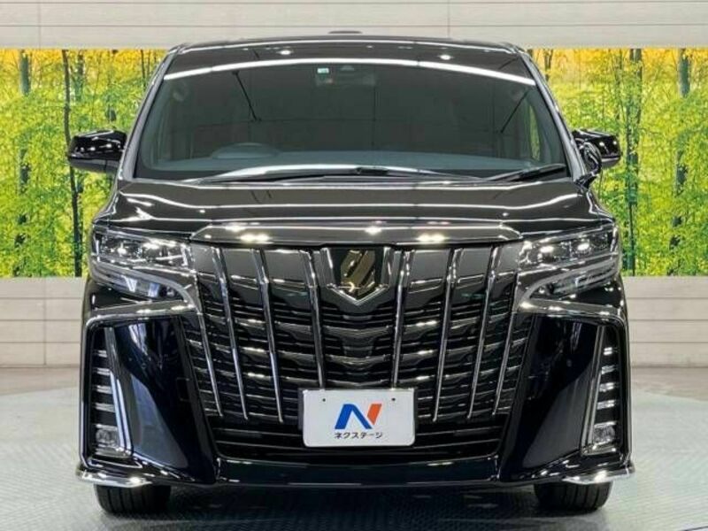 ALPHARD-15