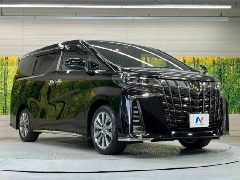 ALPHARD-17