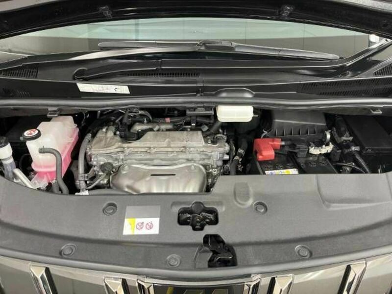 ALPHARD-19