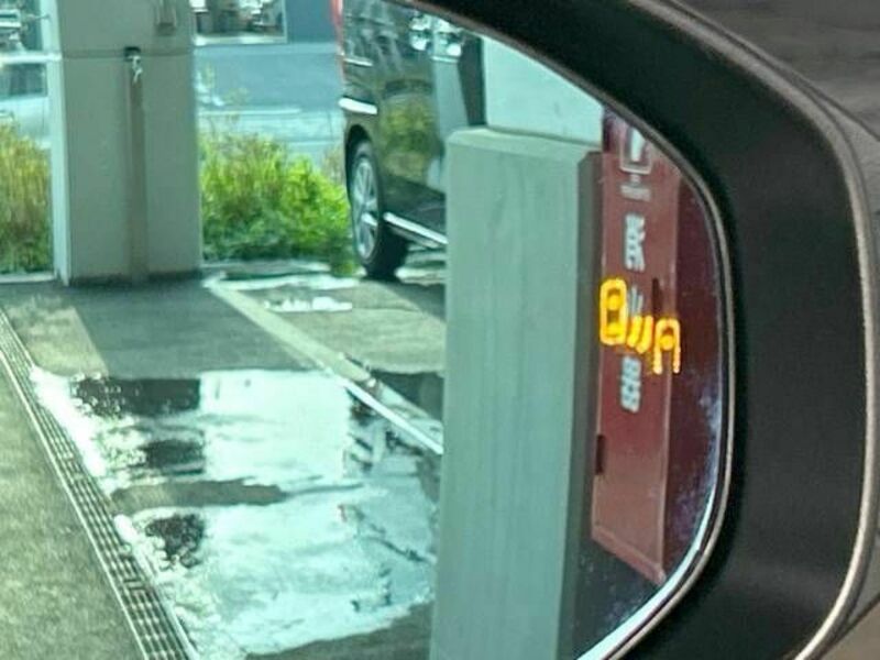 PRIUS-6