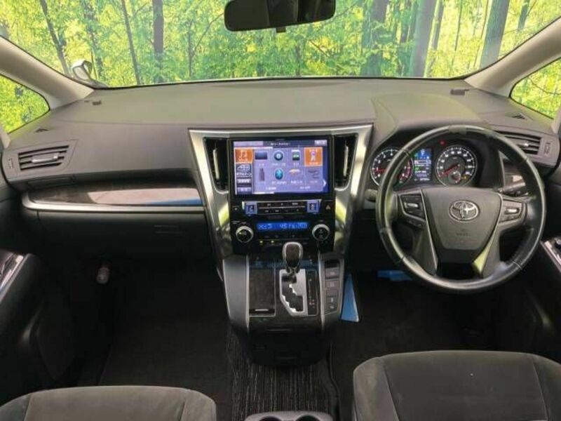 ALPHARD-1