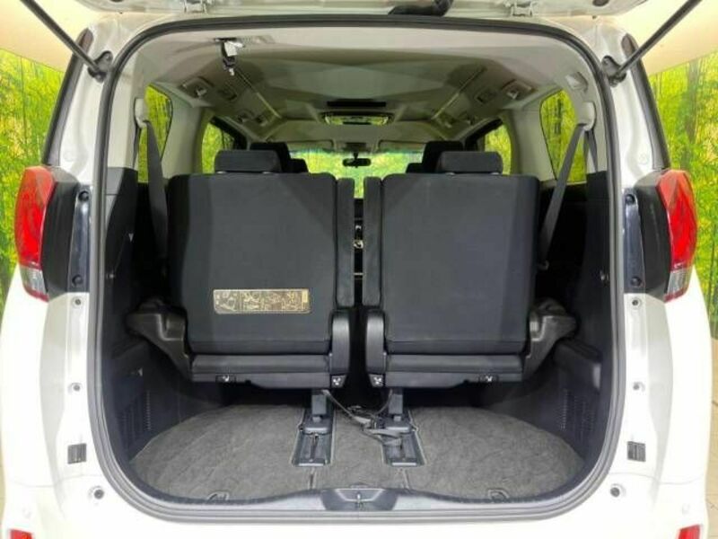 ALPHARD-11