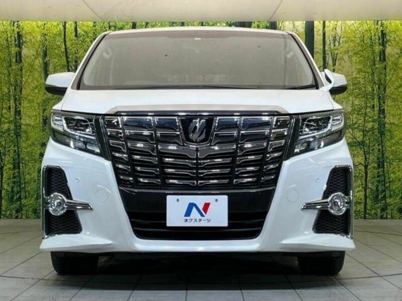 ALPHARD-15
