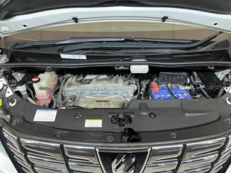 ALPHARD-19
