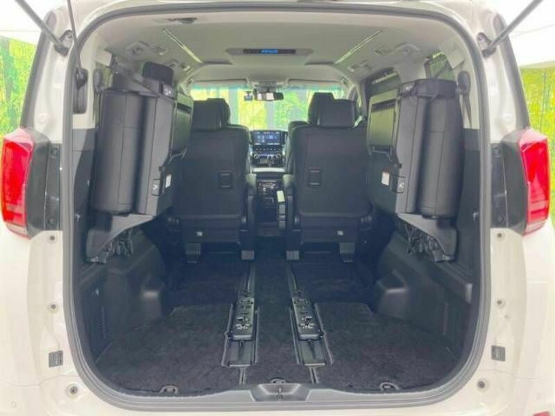 ALPHARD-10