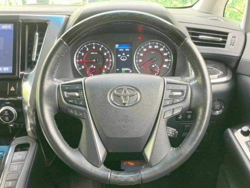 ALPHARD-11