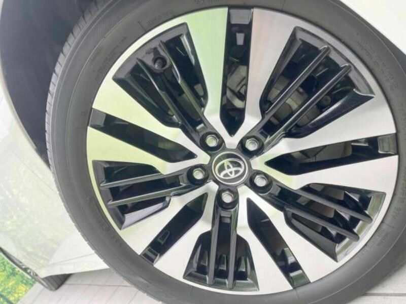 ALPHARD-13