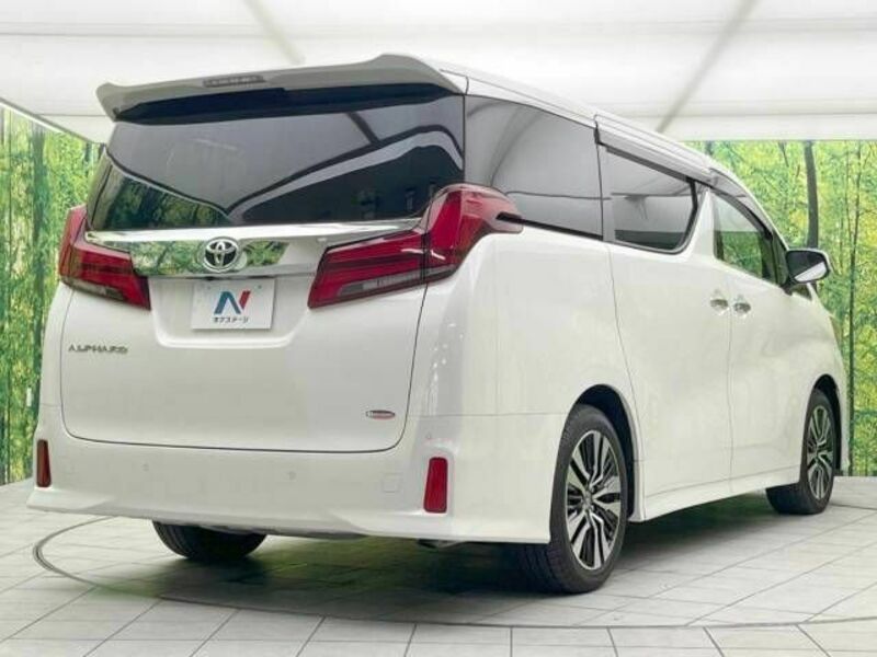 ALPHARD-17
