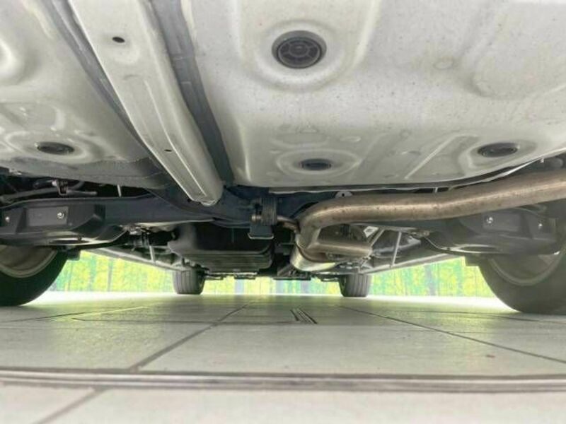 ALPHARD-19