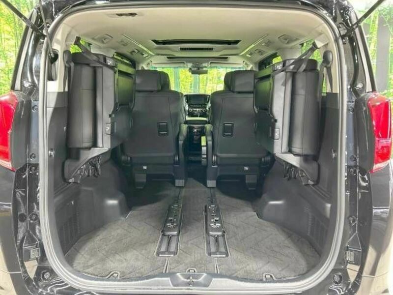 ALPHARD-10