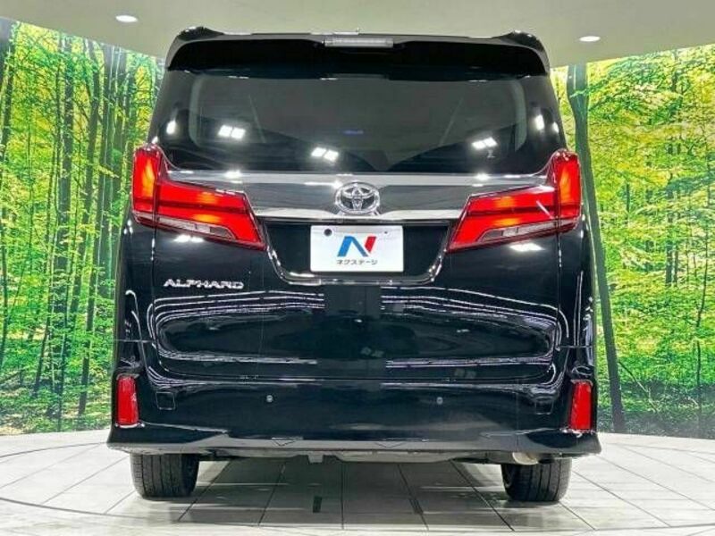ALPHARD-15