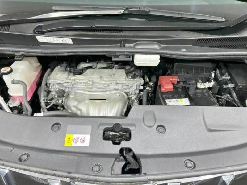 ALPHARD-17