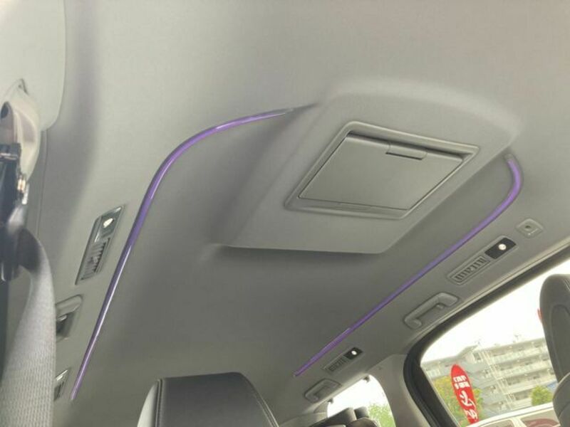 ALPHARD-25
