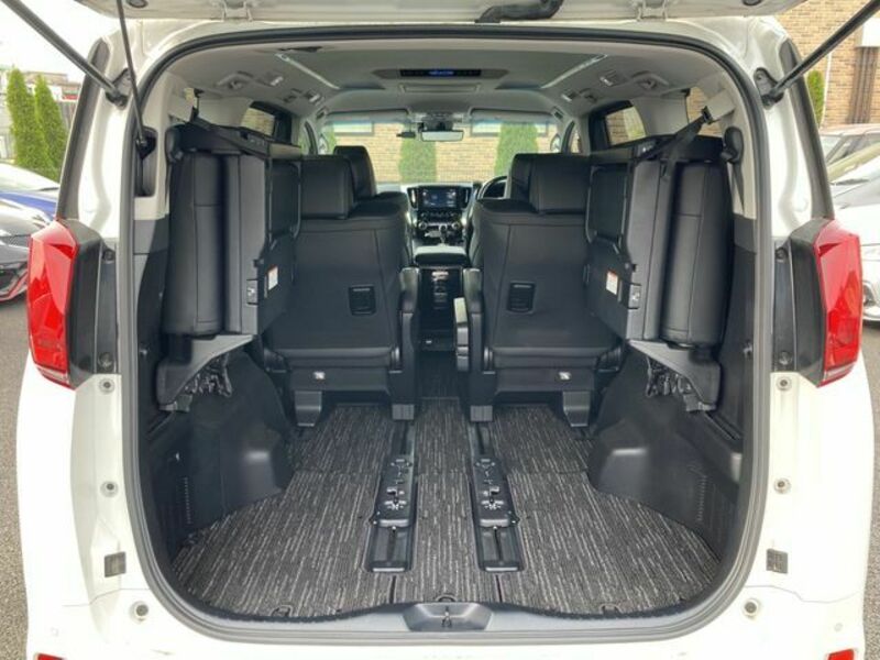 ALPHARD-29