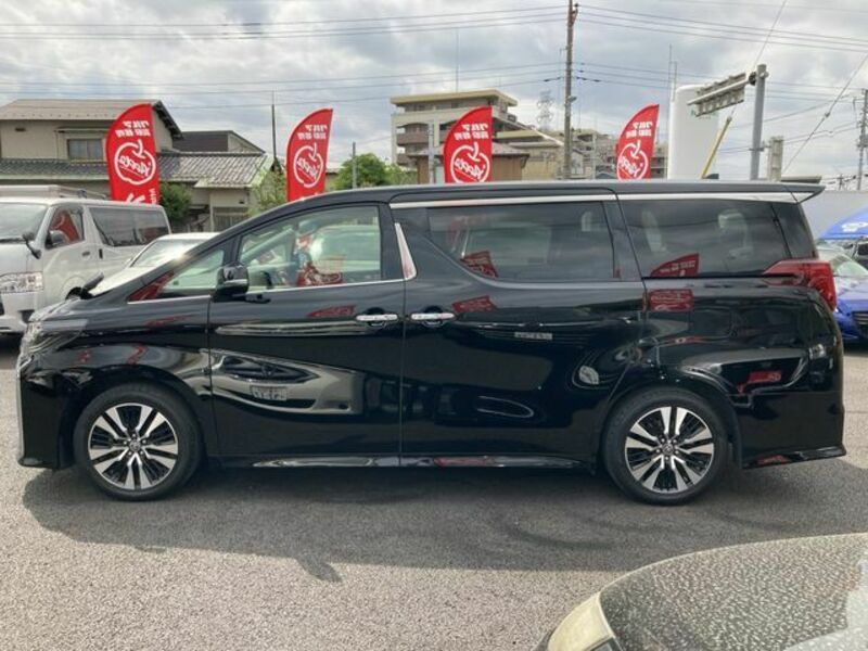 ALPHARD-6