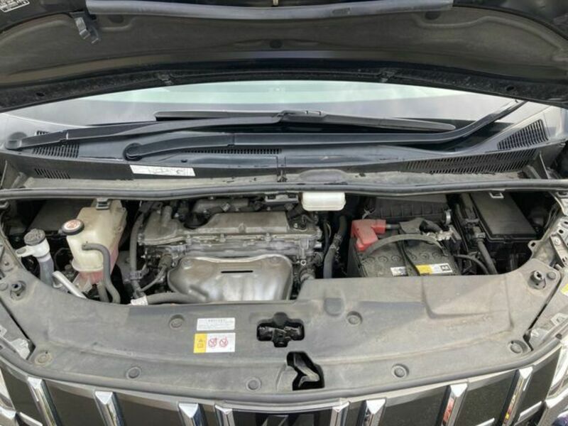ALPHARD-26