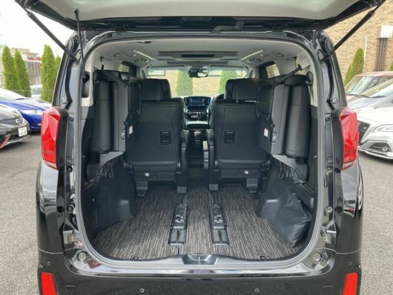 ALPHARD-28