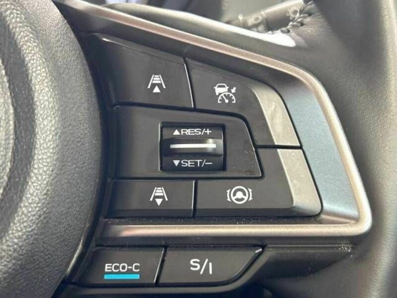 FORESTER-4