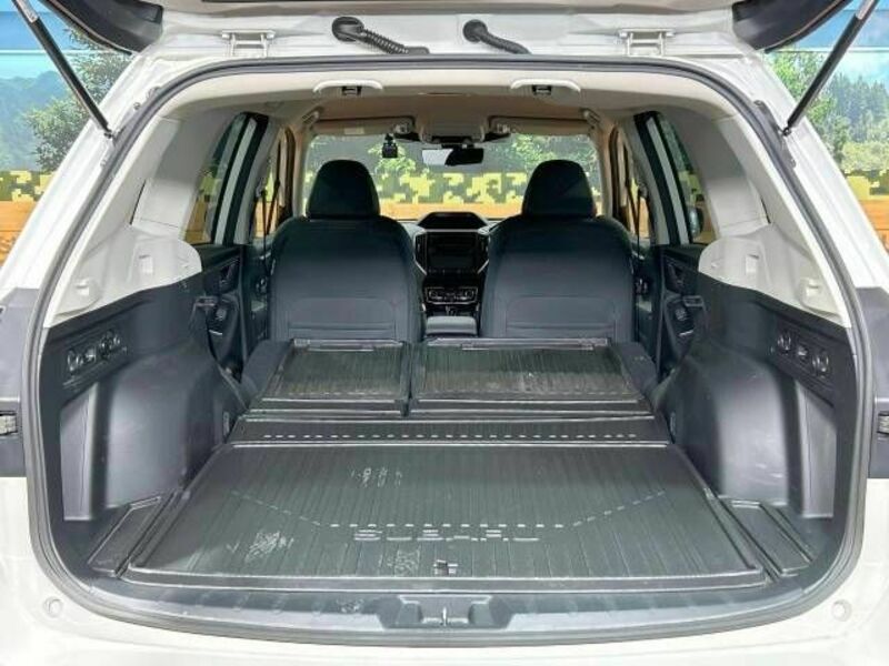 FORESTER-10