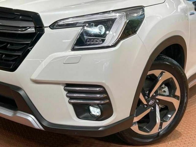 FORESTER-12