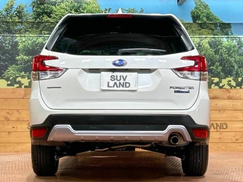 FORESTER-15