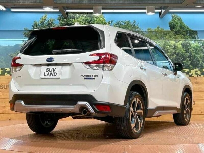 FORESTER-17