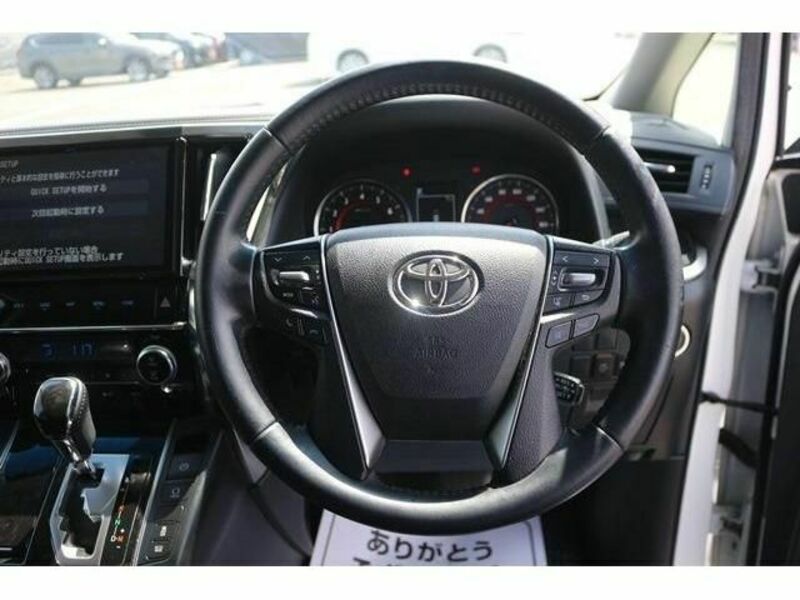 ALPHARD-16