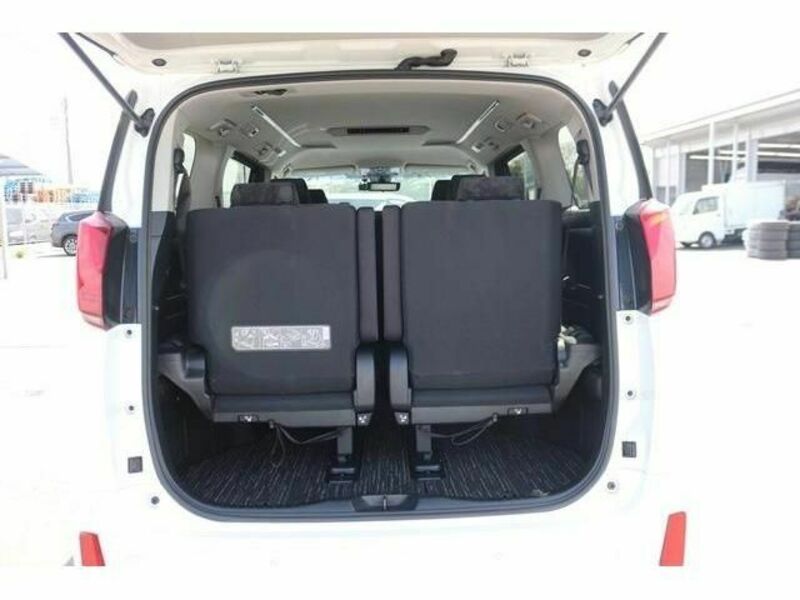 ALPHARD-17