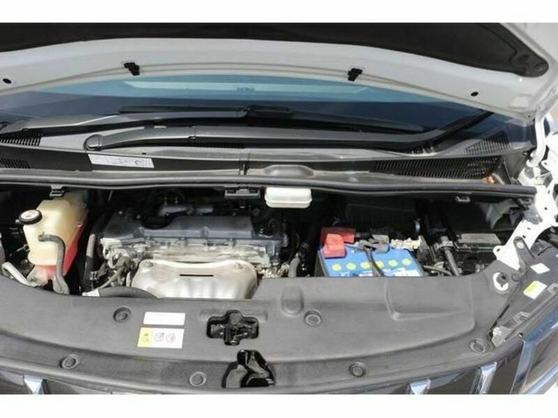 ALPHARD-18