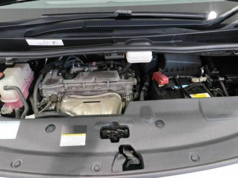 ALPHARD-16