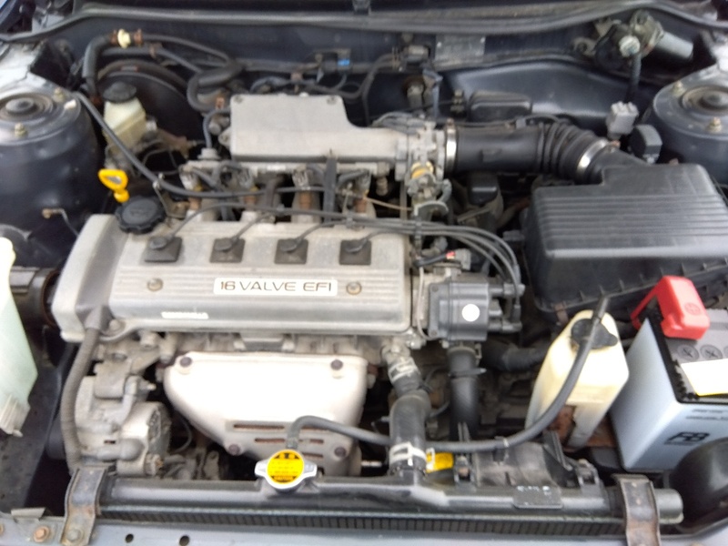 COROLLA-7