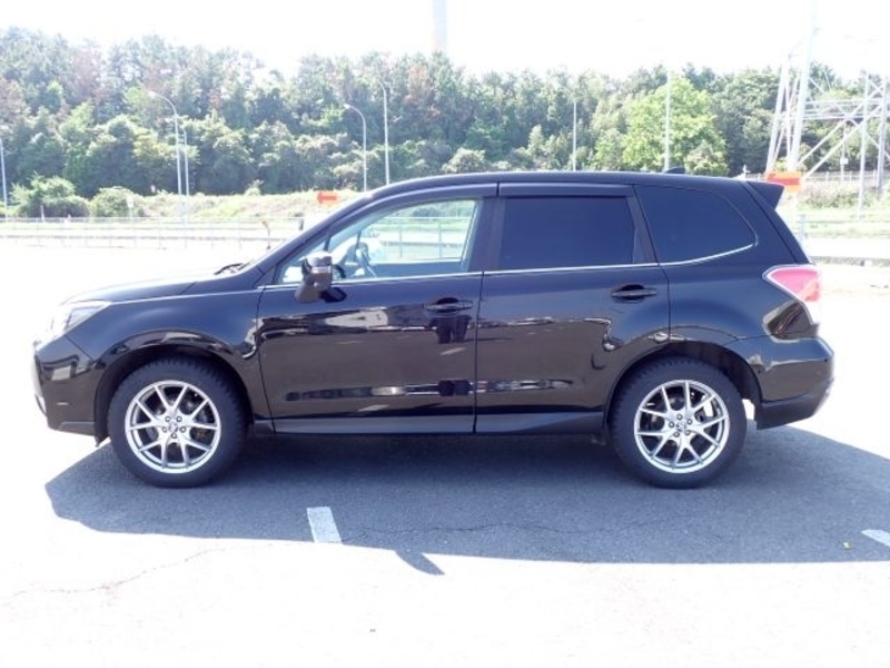 FORESTER