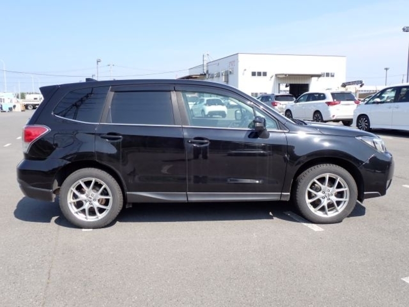 FORESTER