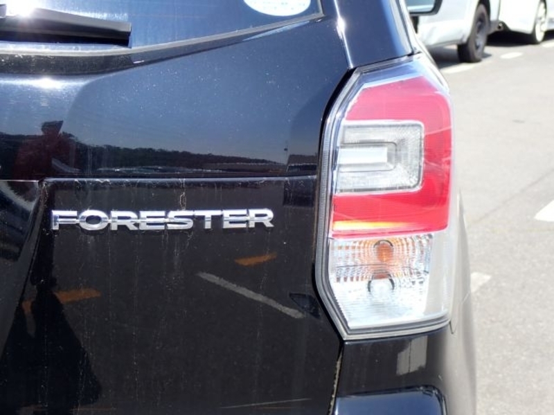FORESTER-10