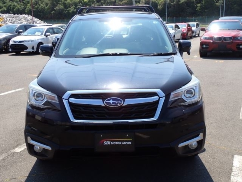 FORESTER-4
