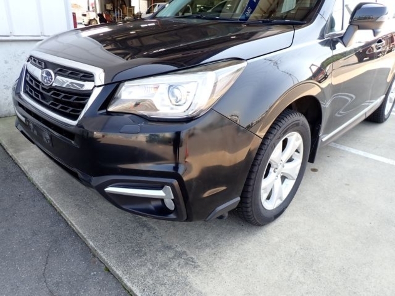FORESTER-38
