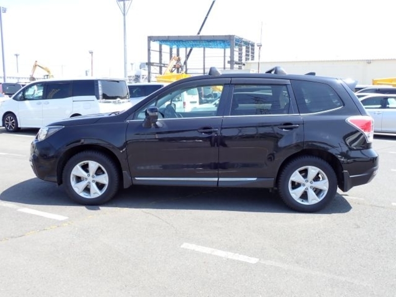 FORESTER-2