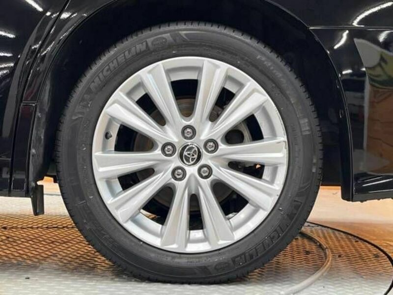ALPHARD-13