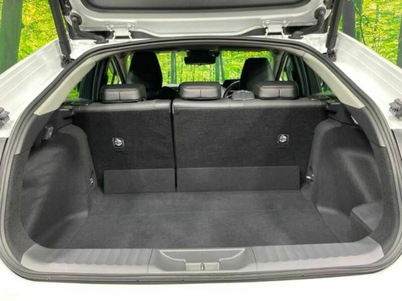 PRIUS-9