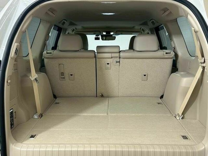 LAND CRUISER PRADO-12