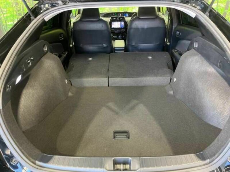 PRIUS-10