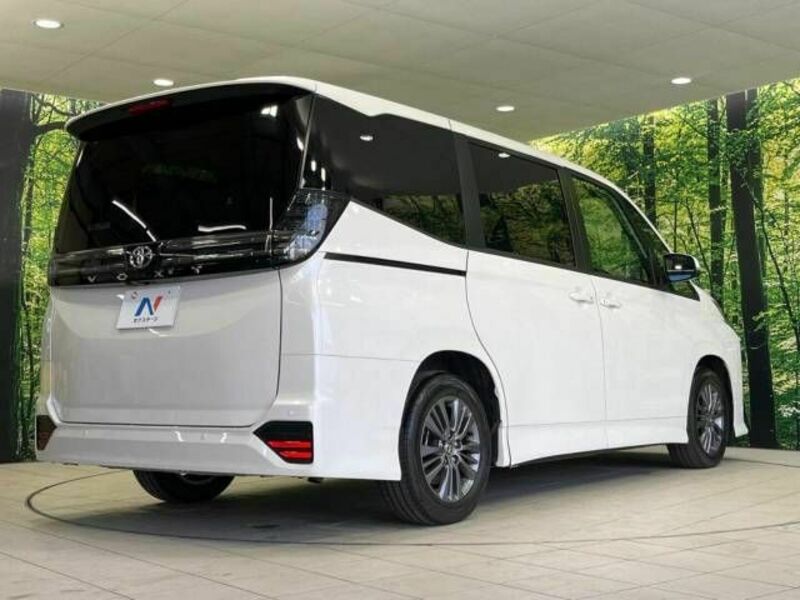 VOXY-17