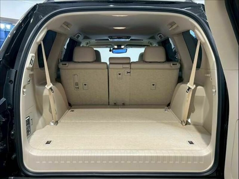 LAND CRUISER PRADO-10