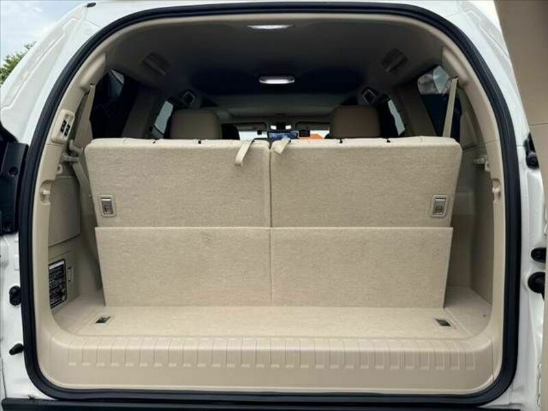 LAND CRUISER PRADO-18