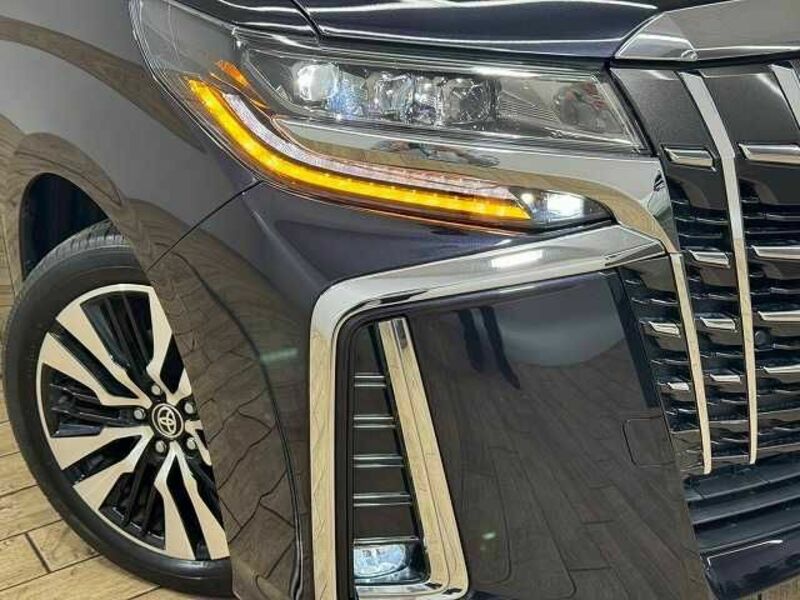 ALPHARD-19