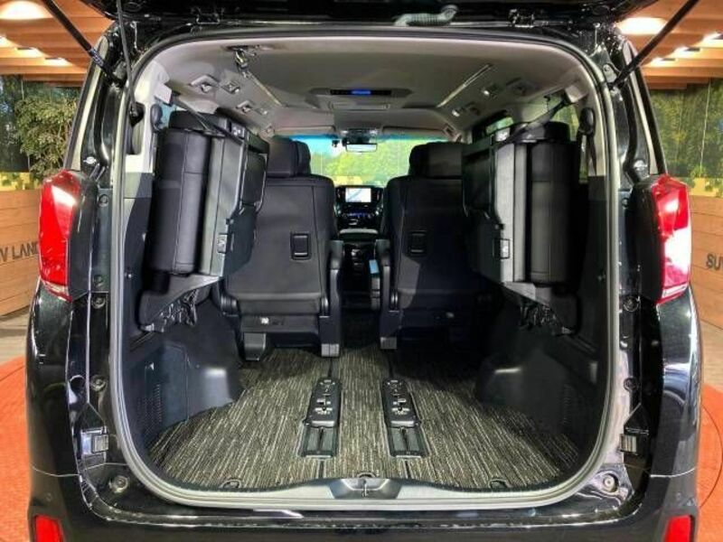 ALPHARD-11